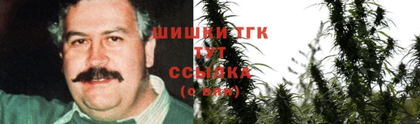 гидропоника Каменка