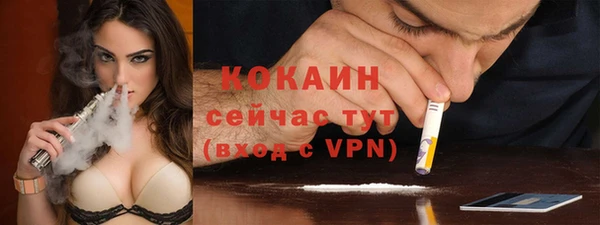 гидропоника Каменка