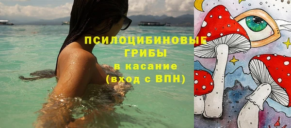 spice Каменногорск