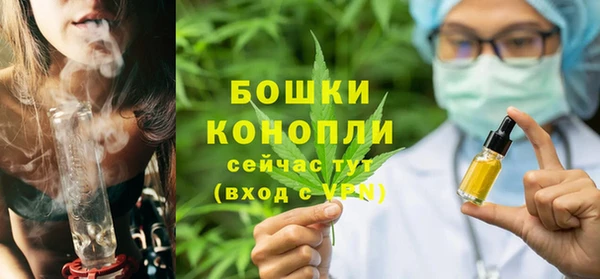 spice Каменногорск