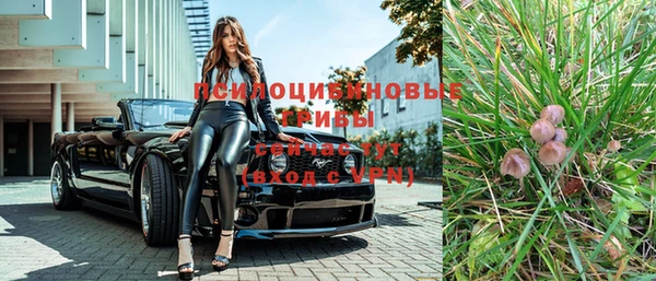 spice Каменногорск