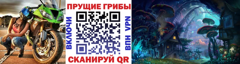 Купить закладки  Облучье  Галлюциногенные грибы GOLDEN TEACHER 