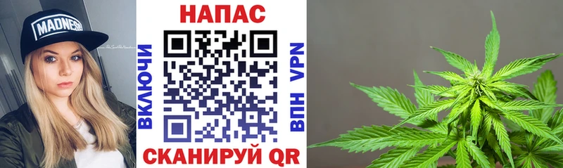 Купить где  Облучье  Бошки Шишки индика 